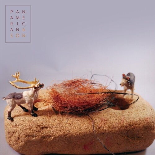 A Son { Vinyl } 【 VINYL 】