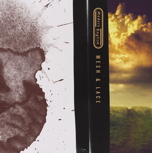 Mesh & Lace { Vinyl } 【 VINYL 】