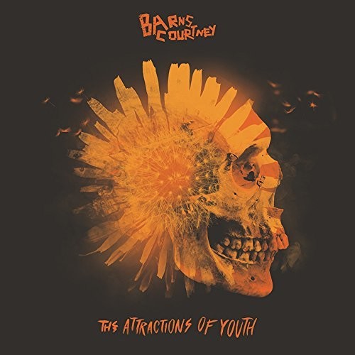 Attractions of Youth { Vinyl } 【 VINYL 】