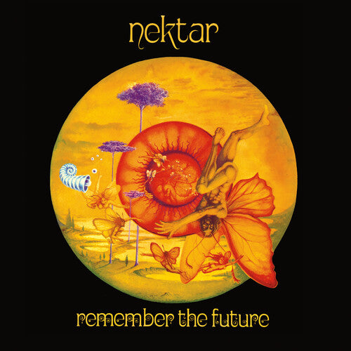 Remember the Future { Vinyl } 【 VINYL 】