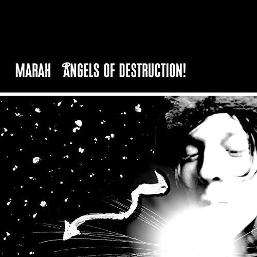 Angels of Destruction { Vinyl } 【 VINYL 】