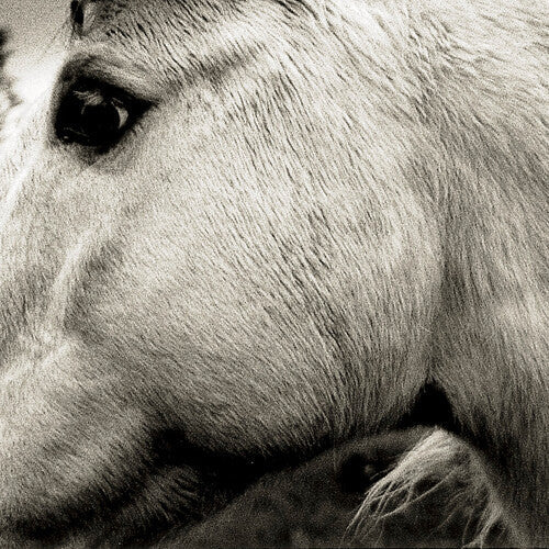 Bonny Light Horseman { Vinyl } 【 VINYL 】
