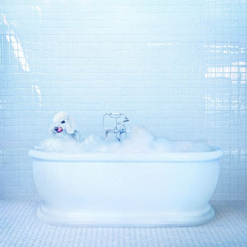 Vessel { Vinyl } 【 VINYL 】