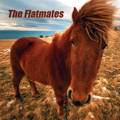 Flatmates { Vinyl } 【 VINYL 】