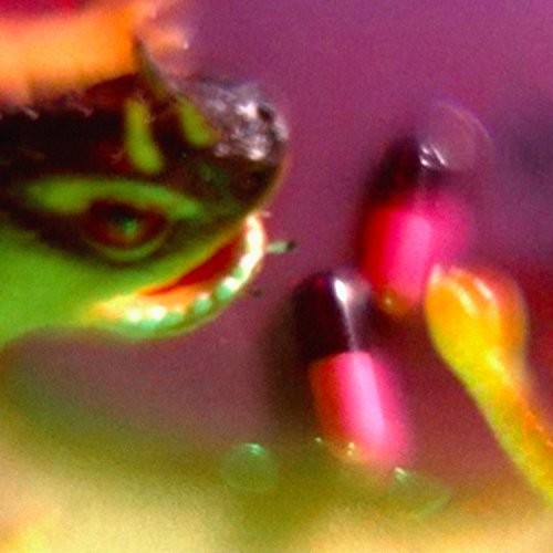 Take the Fall { Vinyl } 【 VINYL 】