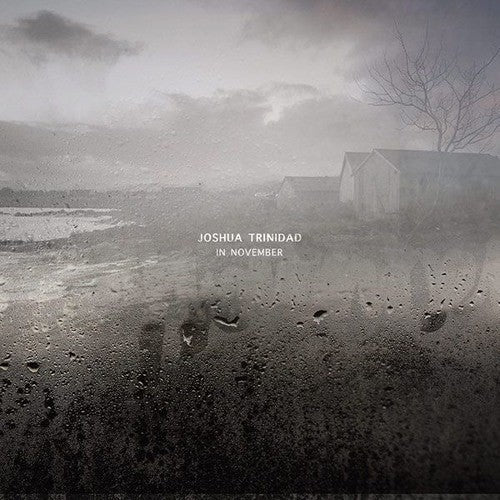 In November { Vinyl } 【 VINYL 】