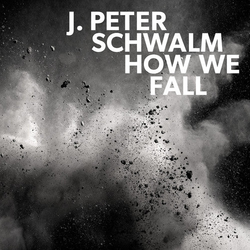 How We Fall { Vinyl } 【 VINYL 】