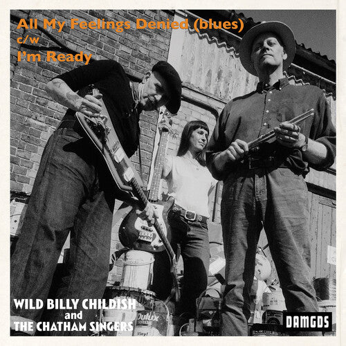 All My Feelings Denied (Blues) { Vinyl } 【 VINYL 】