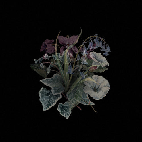 Wildflowers { Vinyl } 【 VINYL 】