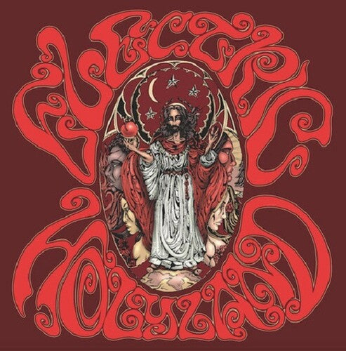 Electric Holyland / Various { Vinyl } 【 VINYL 】