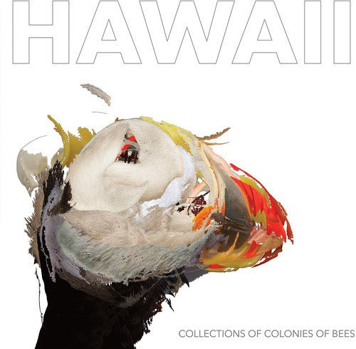 Hawaii { Vinyl } 【 VINYL 】