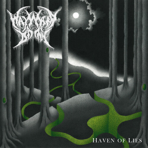 Haven of Lies { Vinyl } 【 VINYL 】