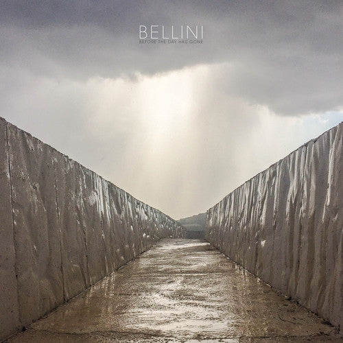 Before the Day Has Gone { Vinyl } 【 VINYL 】