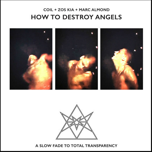 How to Destroy Angels { Vinyl } 【 VINYL 】