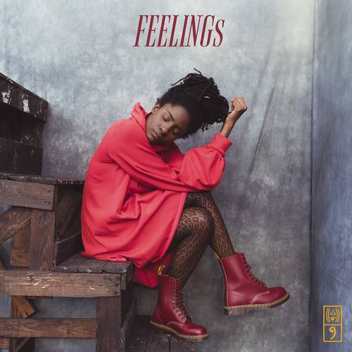 Feelings { Vinyl } 【 VINYL 】
