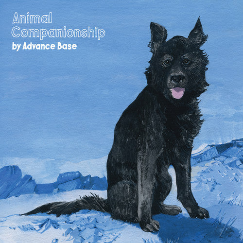 Animal Companionship { Vinyl } 【 VINYL 】