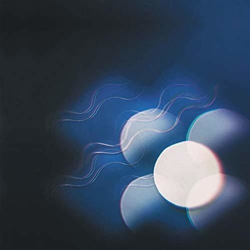 Thunder Follows the Light { Vinyl } 【 VINYL 】