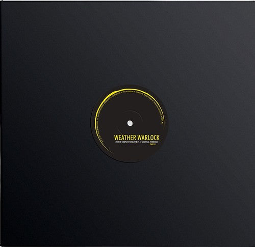 Occulting the Sun { Vinyl } 【 VINYL 】