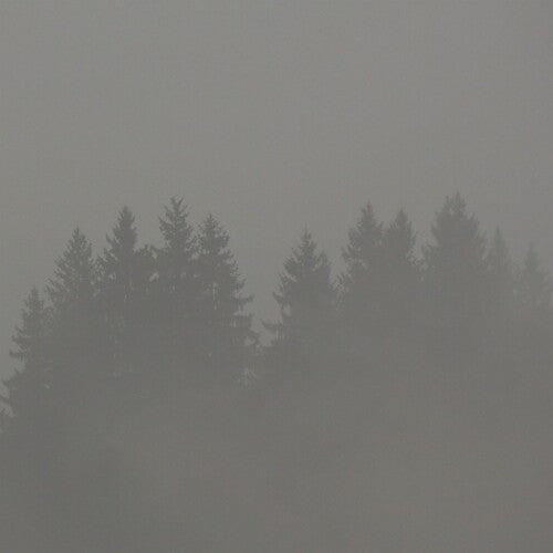 Donnerwetter { Vinyl } 【 VINYL 】