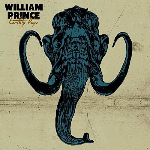 Earthly Days { Vinyl } 【 VINYL 】