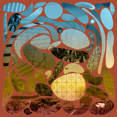 Phoenix { Vinyl } 【 VINYL 】