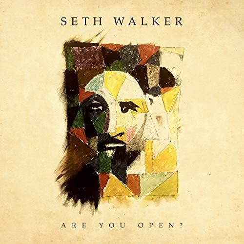 Are You Open { Vinyl } 【 VINYL 】