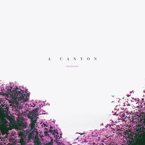 A Canyon { Vinyl } 【 VINYL 】