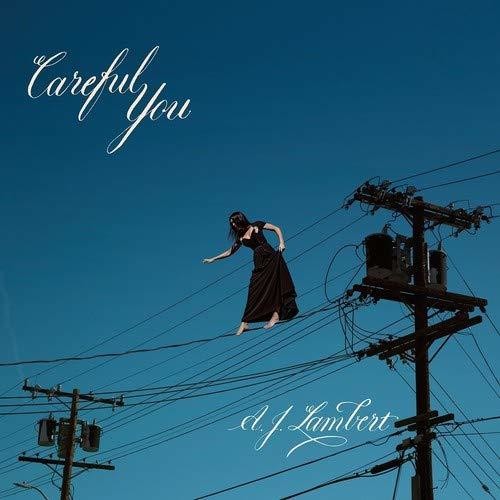 Careful You { Vinyl } 【 VINYL 】