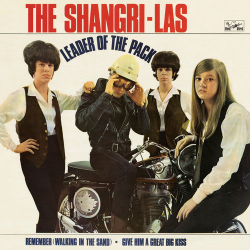 Leader of the Pack { Vinyl } 【 VINYL 】