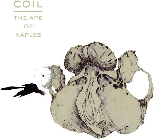 Coil - Ape Of Naples (Vinyl) { Vinyl } 【 VINYL 】