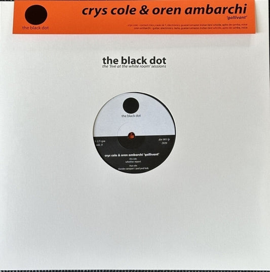Oren Ambarchi  / Cole,Crys - Gallivant (Can) (LP) { Vinyl } 【 VINYL 】
