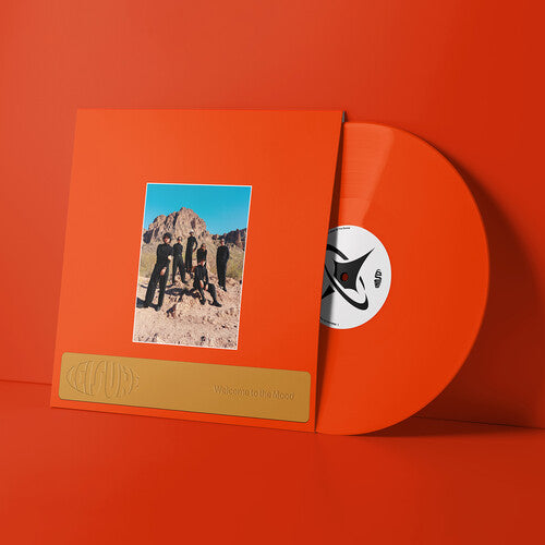 Leisure - Welcome to the Mood (Vinyl) { Vinyl } 【 VINYL 】
