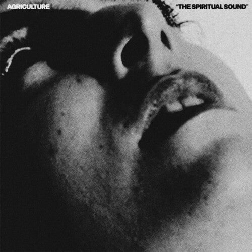 Agriculture - The Spiritual Sound (Vinyl) { Vinyl } 【 VINYL 】