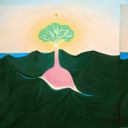 Evisbeats & Nagipan - Suiten (Vinyl) { Vinyl } 【 VINYL 】