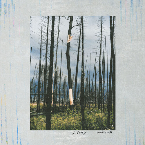 S. Carey - Watercress (Vinyl) { Vinyl } 【 VINYL 】
