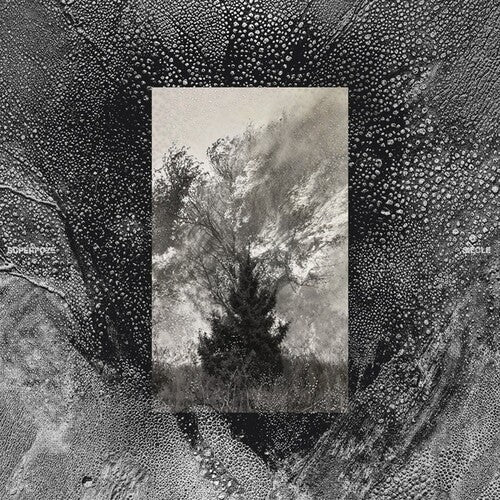 Superpoze - Siecle (Vinyl) { Vinyl } 【 VINYL 】