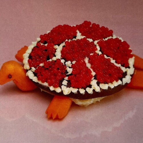 Sharp Pins - Turtle Rock (Vinyl) { Vinyl } 【 VINYL 】