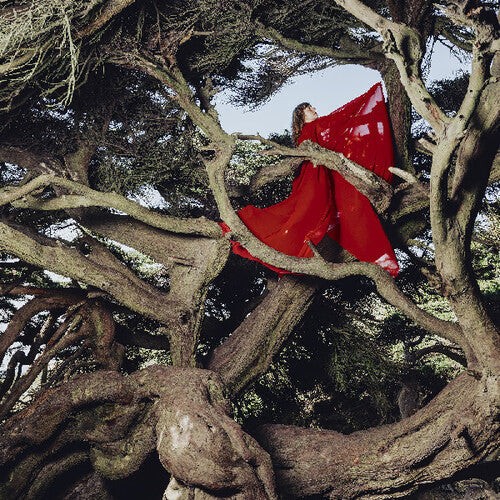 Hannah Frances - Nested In Tangles (Vinyl) { Vinyl } 【 VINYL 】
