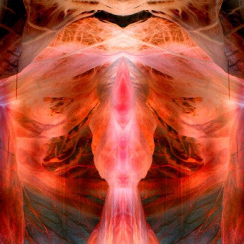 Paul Schutze - The Annihilating Angel; Or, The Surface Of The World (Vinyl) { Vinyl } 【 VINYL 】