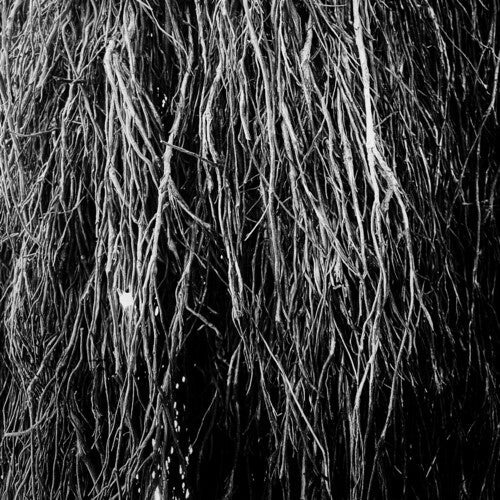 Eraldo Bernocchi - Nocturnal Rainforest (Vinyl) { Vinyl } 【 VINYL 】