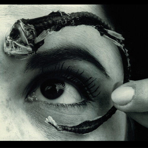 Mr Bungle - Disco Volante (RKTBR25) (Vinyl) { Vinyl } 【 VINYL 】