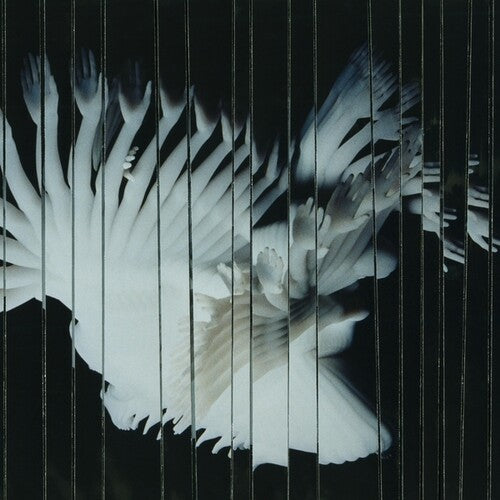 Scaler - Endlessly (Vinyl) { Vinyl } 【 VINYL 】