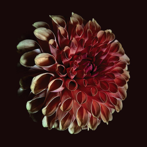 Jessica Moss - Unfolding (Vinyl) { Vinyl } 【 VINYL 】