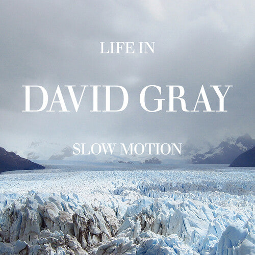 David Gray - Life in Slow Motion (20th Anniversary Edition) Blue (Vinyl) { Vinyl } 【 VINYL 】