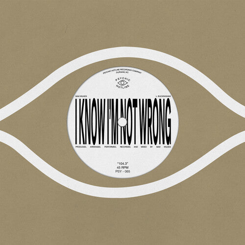 Sam Wilkes - 104.3 (Vinyl) { Vinyl } 【 VINYL 】