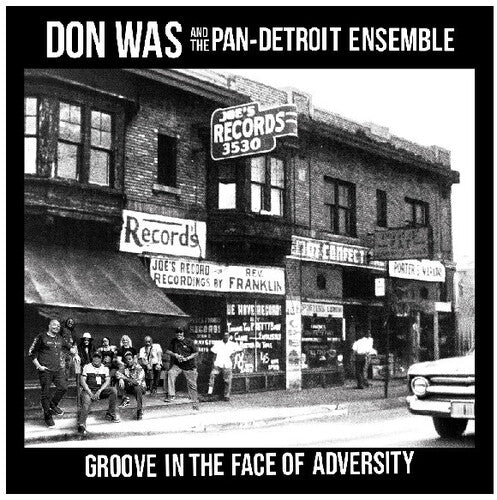 Don Was - Groove In The Face Of Adversity (Vinyl) { Vinyl } 【 VINYL 】