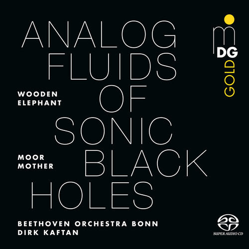 Moor Mother - Analog Fluids of Sonic Black Holes (Vinyl) { Vinyl } 【 VINYL 】