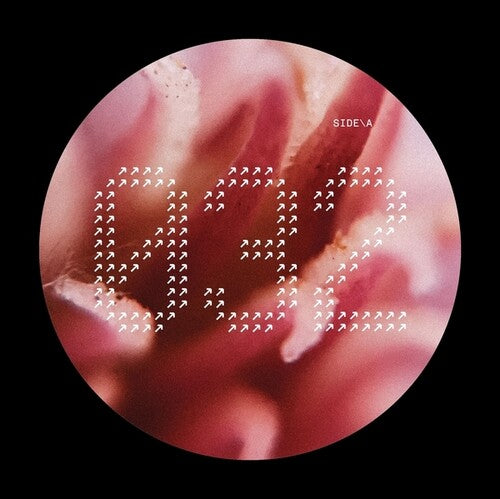Various Artists - NECH032 (Vinyl) { Vinyl } 【 VINYL 】
