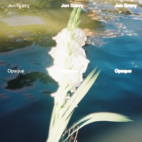 Jon Gravy - Opaque (Vinyl) { Vinyl } 【 VINYL 】