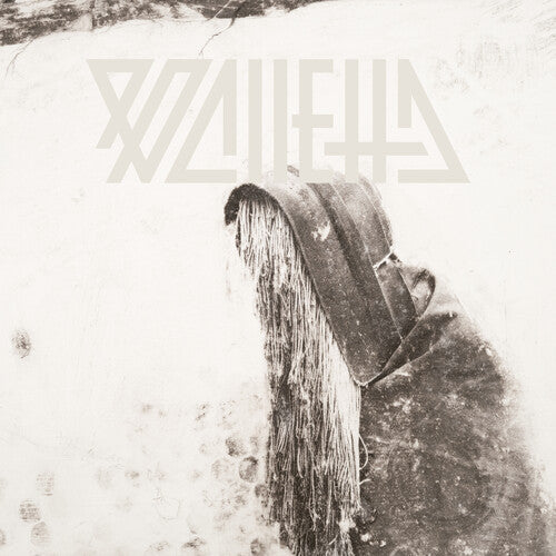 Valletta - Bitter Lucid Truth (Vinyl) { Vinyl } 【 VINYL 】